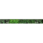 888 REPTILES UK Coupons