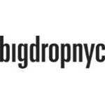 BigDropNYC Coupons