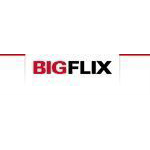 Big Flix Coupons