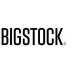 BigStock Coupons