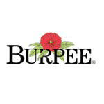 Burpee Coupons