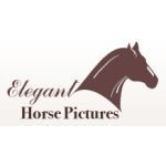 Elegant Horse Pictures Coupons