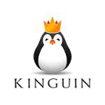 Kinguin Coupons