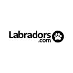 Labradors.com Coupons