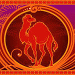 The Red Camel Coupons