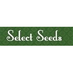 Select Seeds Coupons