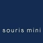 Souris Mini Coupons