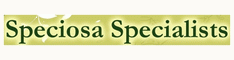 Speciosa Specialists Coupons