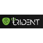 Tridenteer Coupons