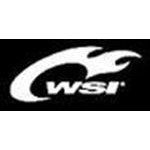 WSI Sports Coupons